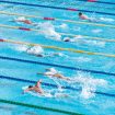Regardless of whether you're going to the beach or pool, make sure you have goggles, noodles and other flotation devices. Your time in the water will never be more enjoyable.