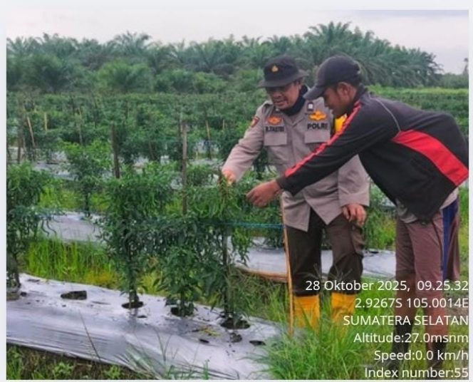
 Bhabinkamtibmas Polsek Air Kumbang Dorong Masyarakat Dukung Program Swasembada Pangan Presiden