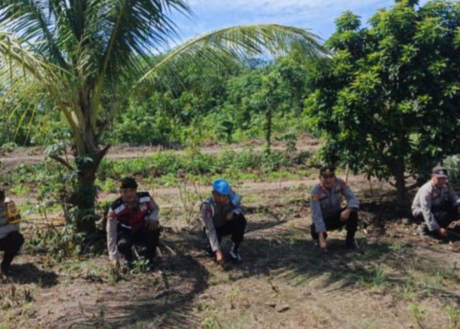 
 Polsek Air Kumbang Laksanakan Penanaman Jagung Serentak: Dukung Swasembada Pangan 2025