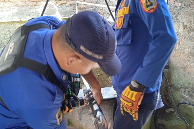 
 Kucing Malang Terjebur Ke Dalam Sumur Selama 3 Hari Berhasil Diselamatkan Tim Damkar