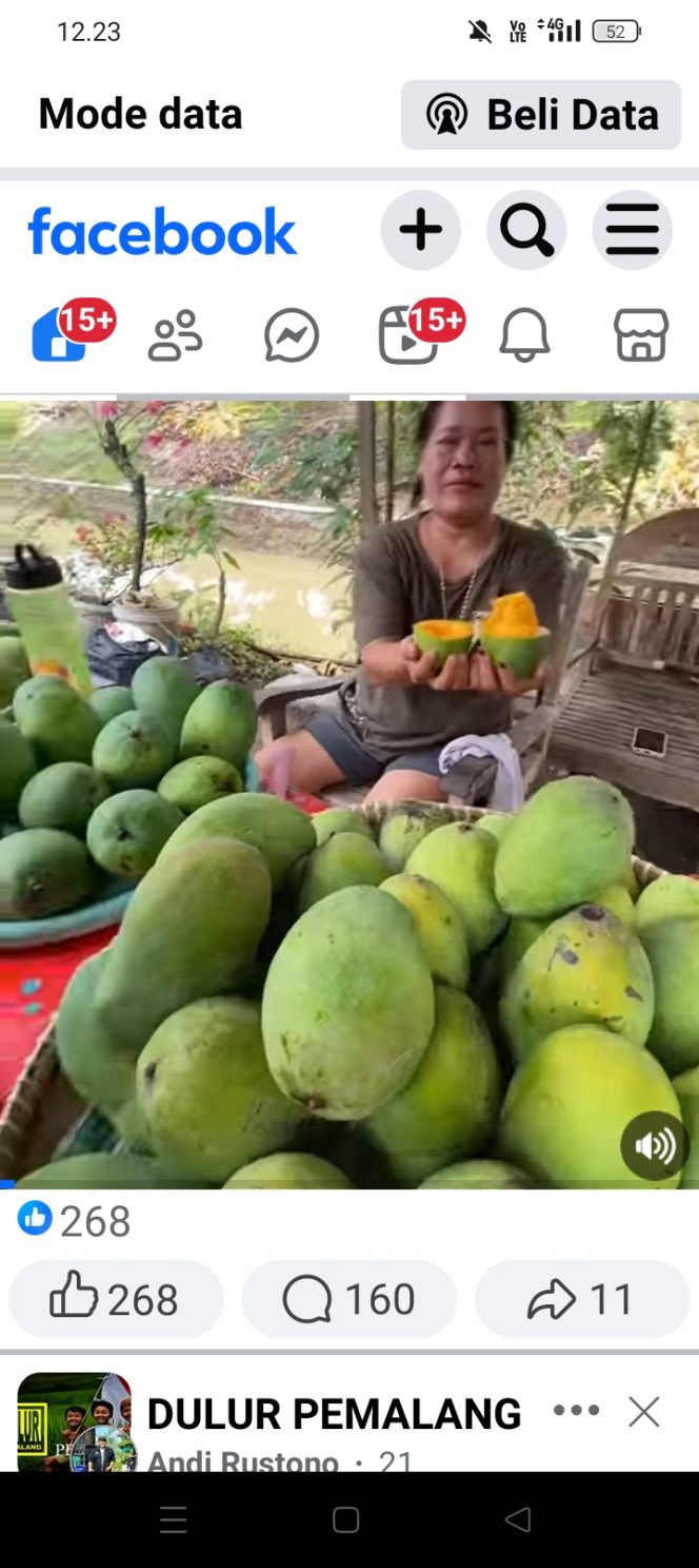 
 Festival Buah Mangga Kembali Digelar di Kabupaten Pemalang