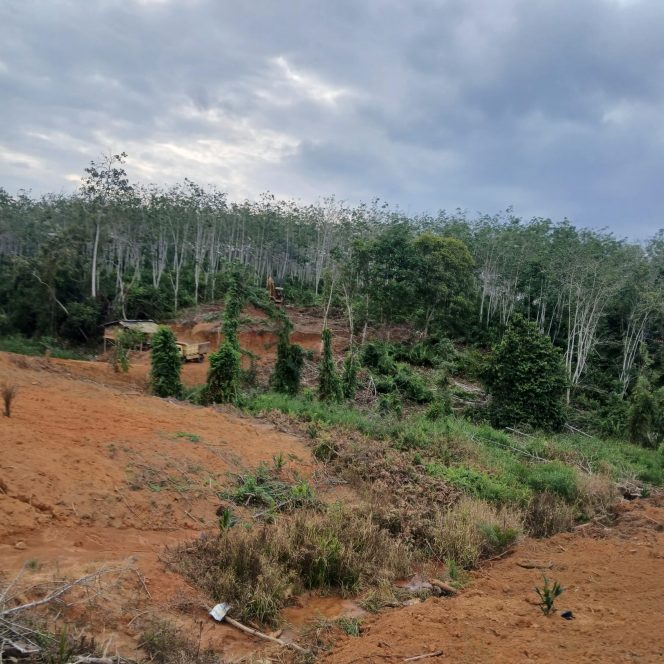 
 Aktivitas Galian C Diduga Ilegal di Tanjung Laut, Pengurus Akui Pernah Kirim Uang dan Lontarkan Ancaman terhadap Wartawan