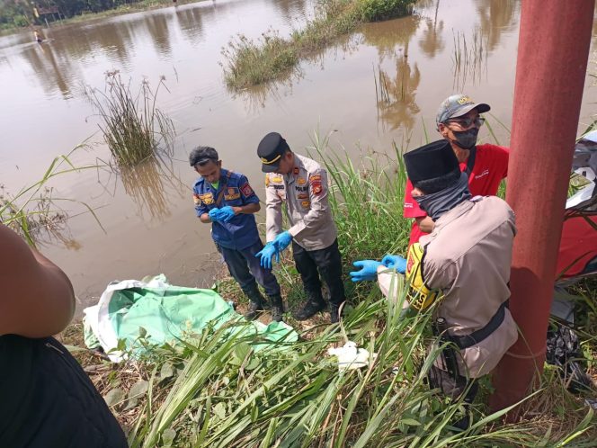 
 Kapolsek Rambutan Turun Langsung Terkait Ditemukannya Mayat Pria di Persawahan Sungai Pinang